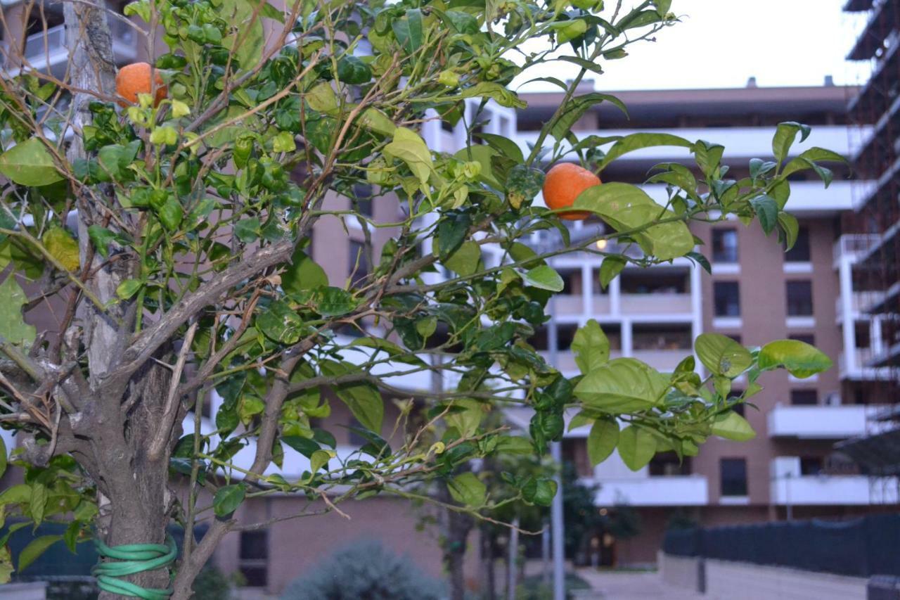 Airport&Fair Suite Apartments Fiumicino Extérieur photo